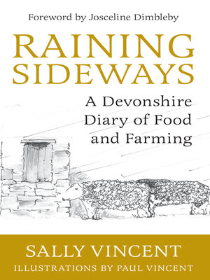 cover image of Raining Sideways